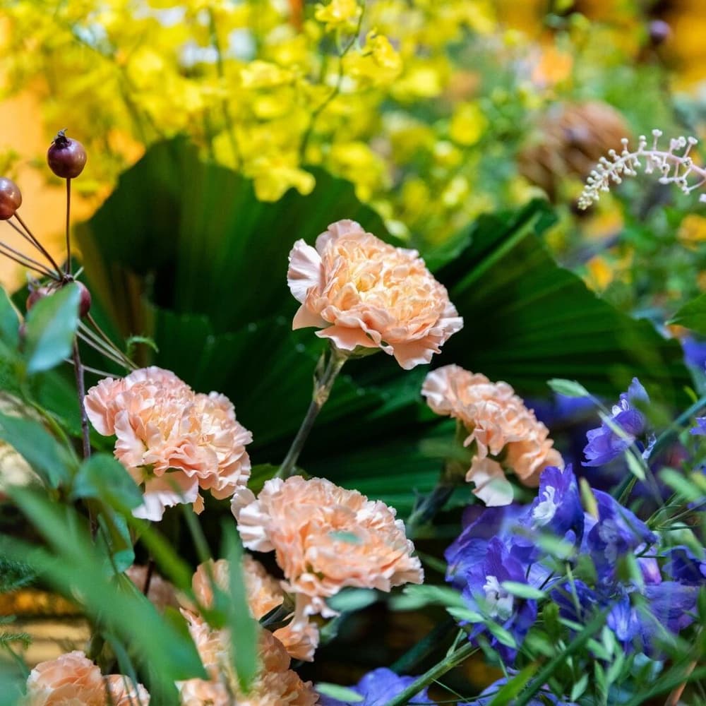 既迴向往生極樂，又迴向眷屬，這樣是否如法