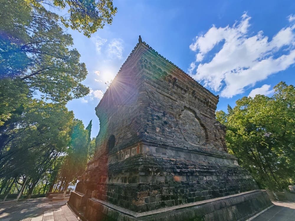 在極樂世界修到什麼果位才會回入娑婆