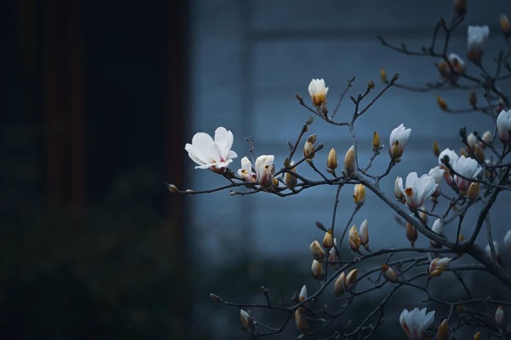 今天脫了鞋和襪，不知明天穿不穿