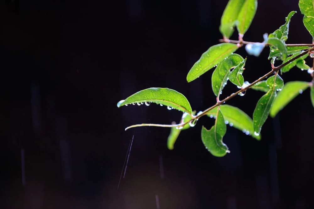 心光外泄太厲害，年紀大了第六意識就不行了