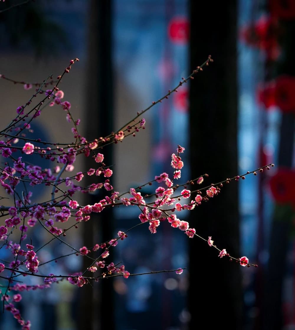 孝養父母、愛護妻子、愛護丈夫