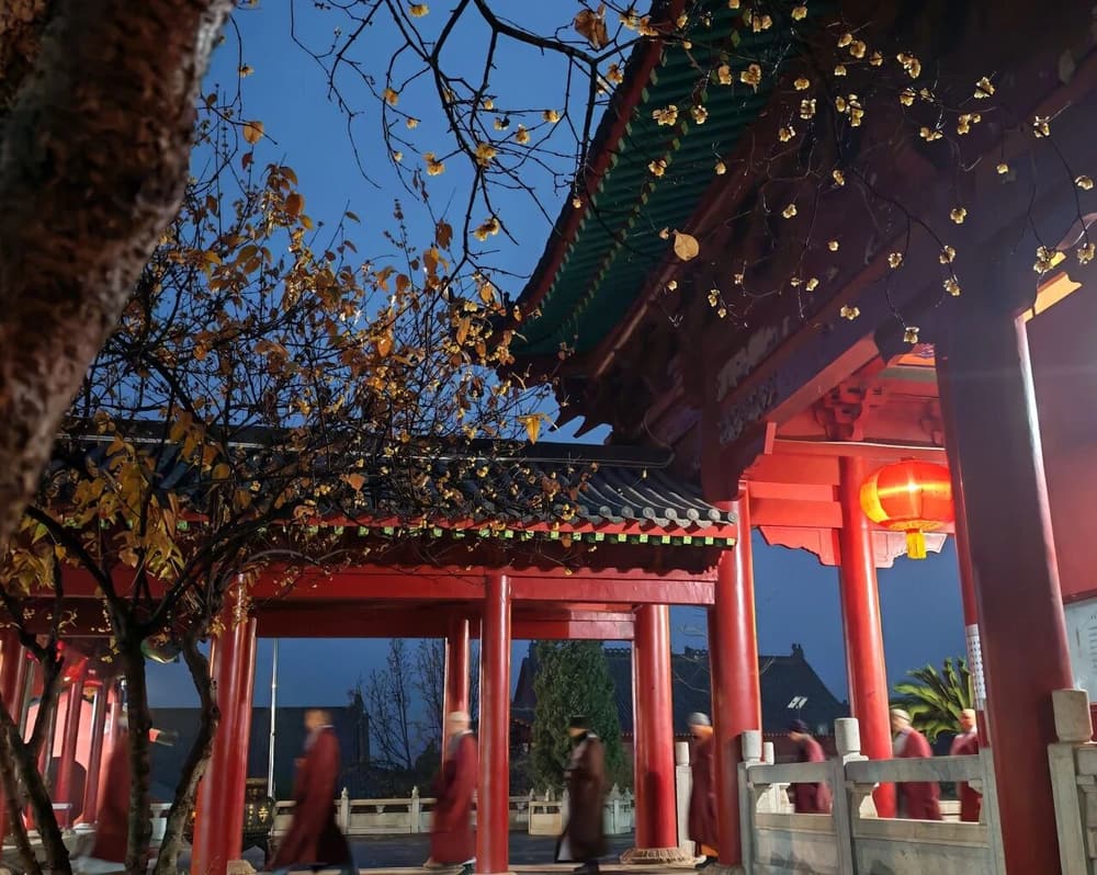 就算修不了禪，你也要學會慢下來