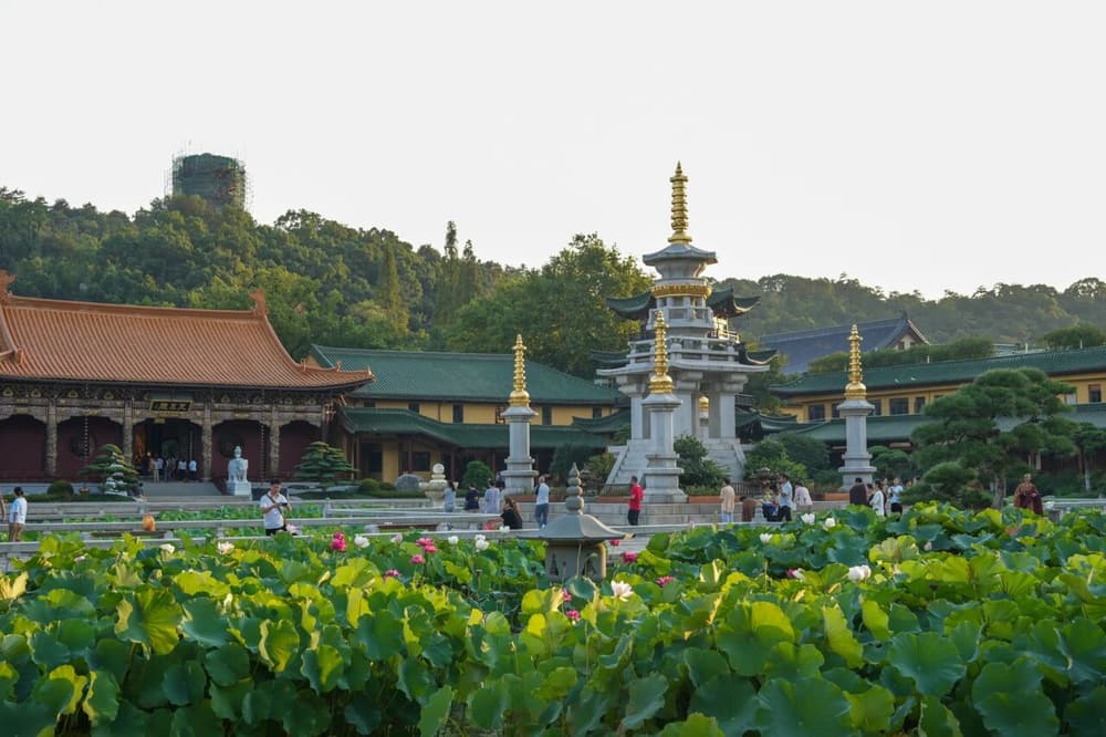 老實念佛，參學已畢