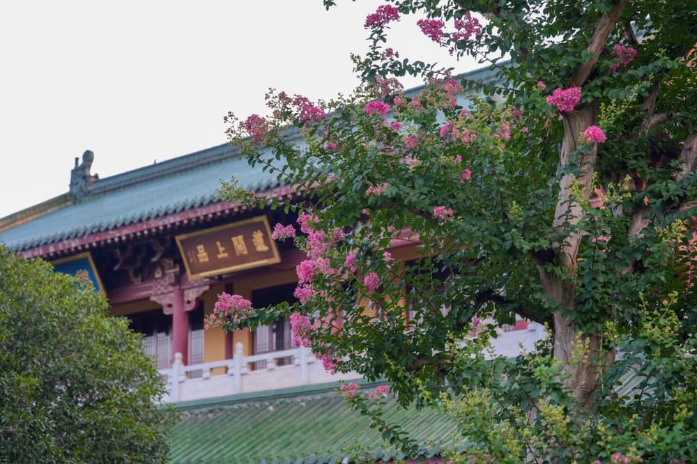 阿彌陀佛的諸佛稱名讚歎願