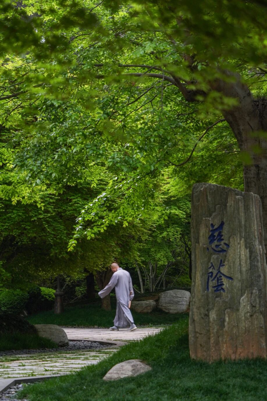 修觀的三大重點——觀察、勝解、捨離心相