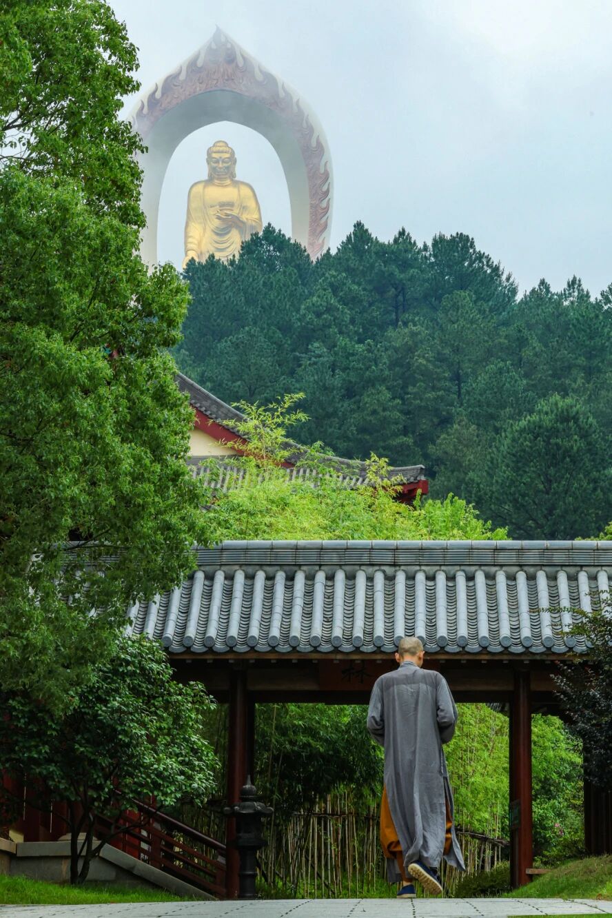 臨終的時候到底哪一個種子會成熟