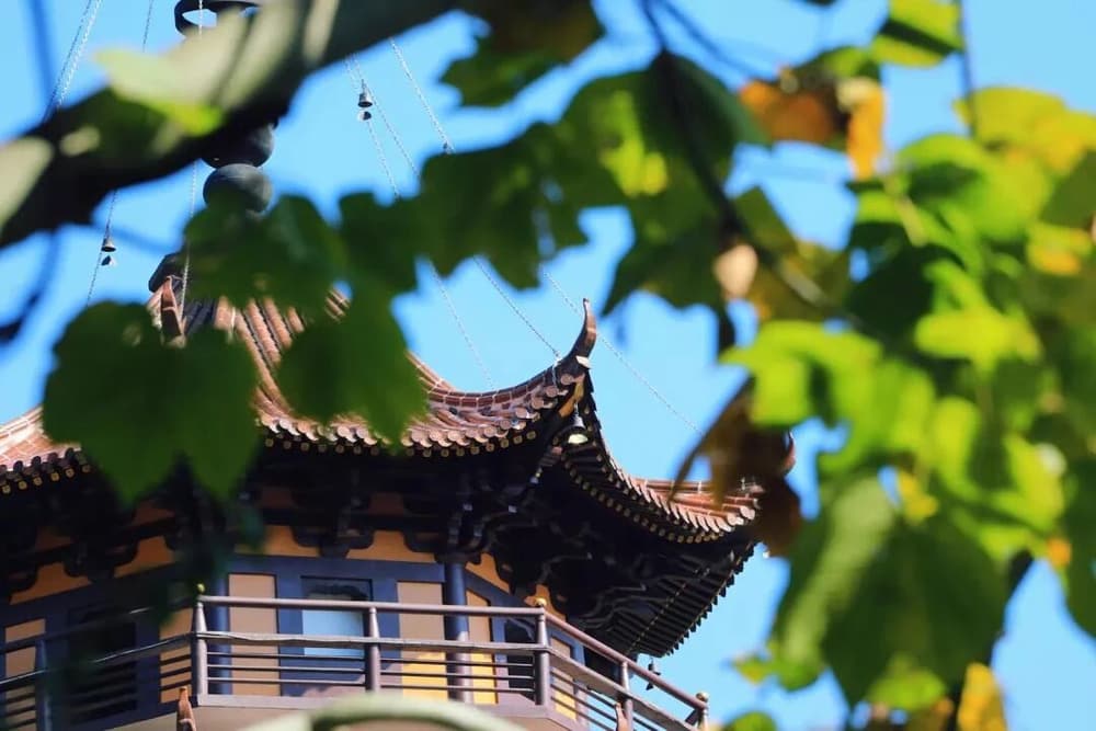 極樂世界是凡聖同居土，但是也橫具了上三土
