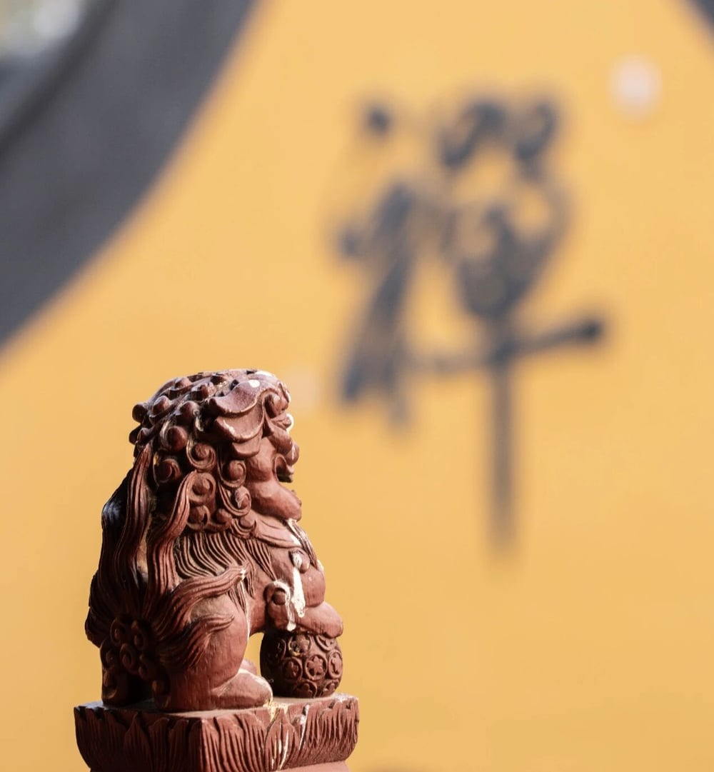 日常生活中是提起佛號比較好，還是觀照比較好