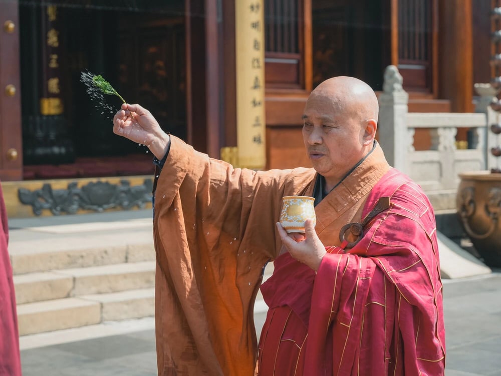 面對跳蚤、瘧蚊、蟑螂等,如何才能不犯殺戒