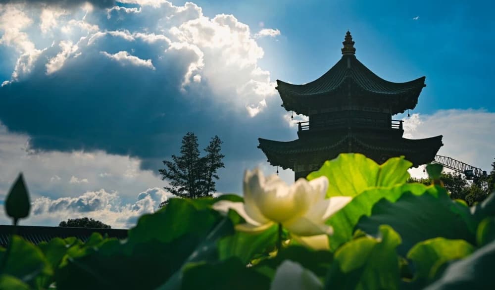 悟達國師受果報的公案